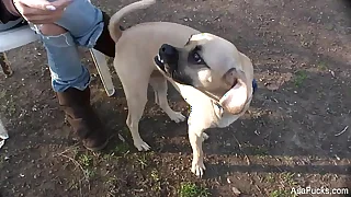 3138 tits porn videos